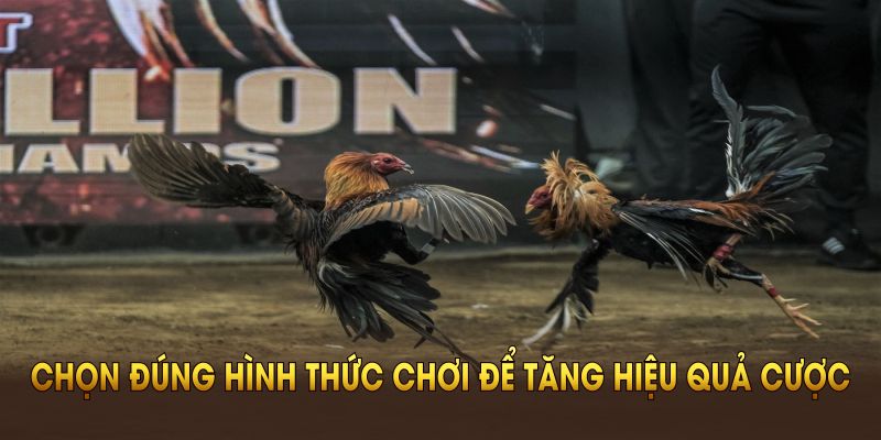 Chọn đúng hình thức chơi để tăng hiệu quả cược