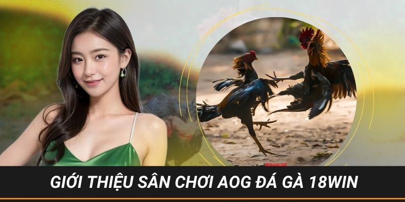 Giới thiệu cho hội viên về đấu trường AQG đá gà 18WIN