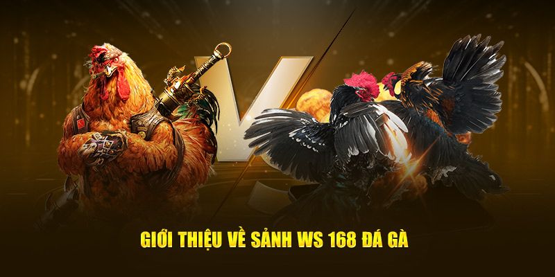 Khái quát về sảnh chọi gà cuốn hút tại 18Win