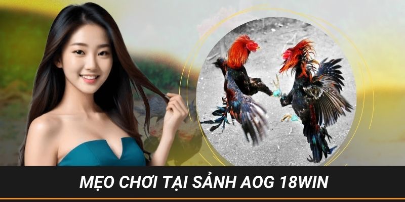 Cao thủ chia sẻ cho anh em về tip cược tại đá gà AOG